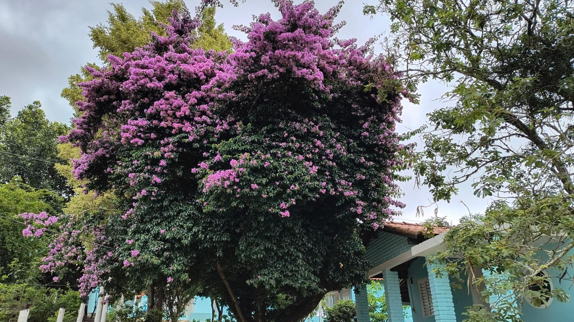 Pousada Recanto Do Sossego Hotel São Tomé das Letras Exterior foto