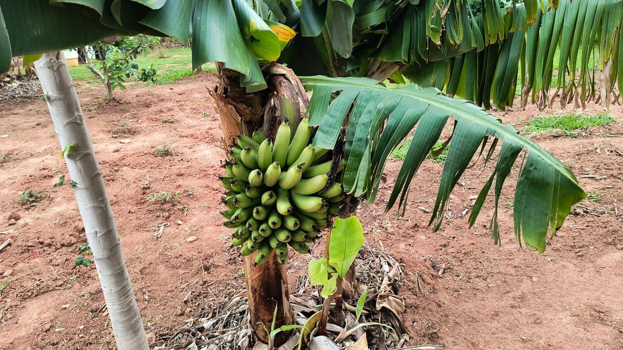 Pousada Recanto Do Sossego Hotel São Tomé das Letras Exterior foto