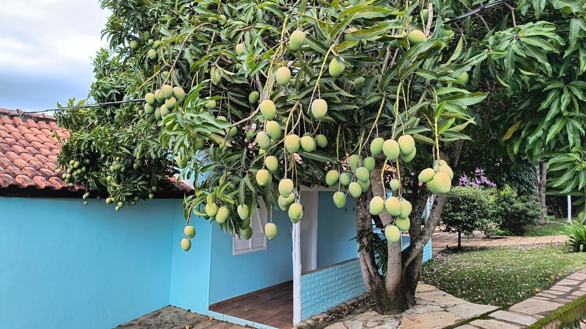 Pousada Recanto Do Sossego Hotel São Tomé das Letras Exterior foto